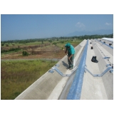 quanto custa pintura de telhas PRFV para impermeabilizar Sapopemba